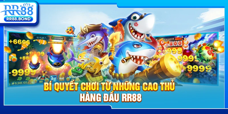 Bí quyết chơi từ những cao thủ hàng đầu RR88